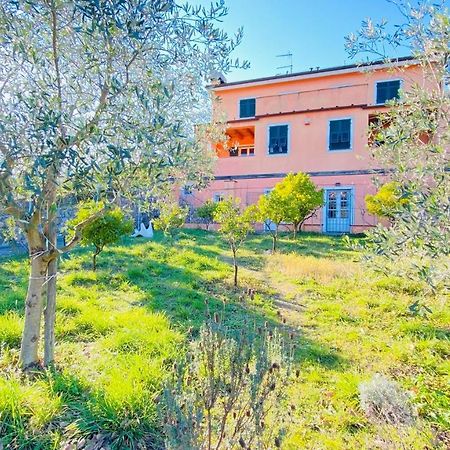 Villa Arancia Quiet, Central, Parking And Air Conditioning Levanto Eksteriør billede