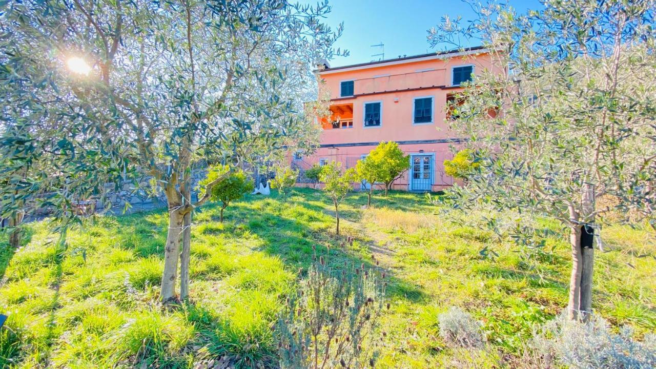Villa Arancia Quiet, Central, Parking And Air Conditioning Levanto Eksteriør billede