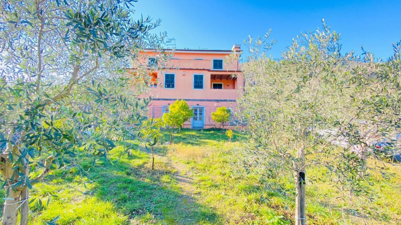 Villa Arancia Quiet, Central, Parking And Air Conditioning Levanto Eksteriør billede