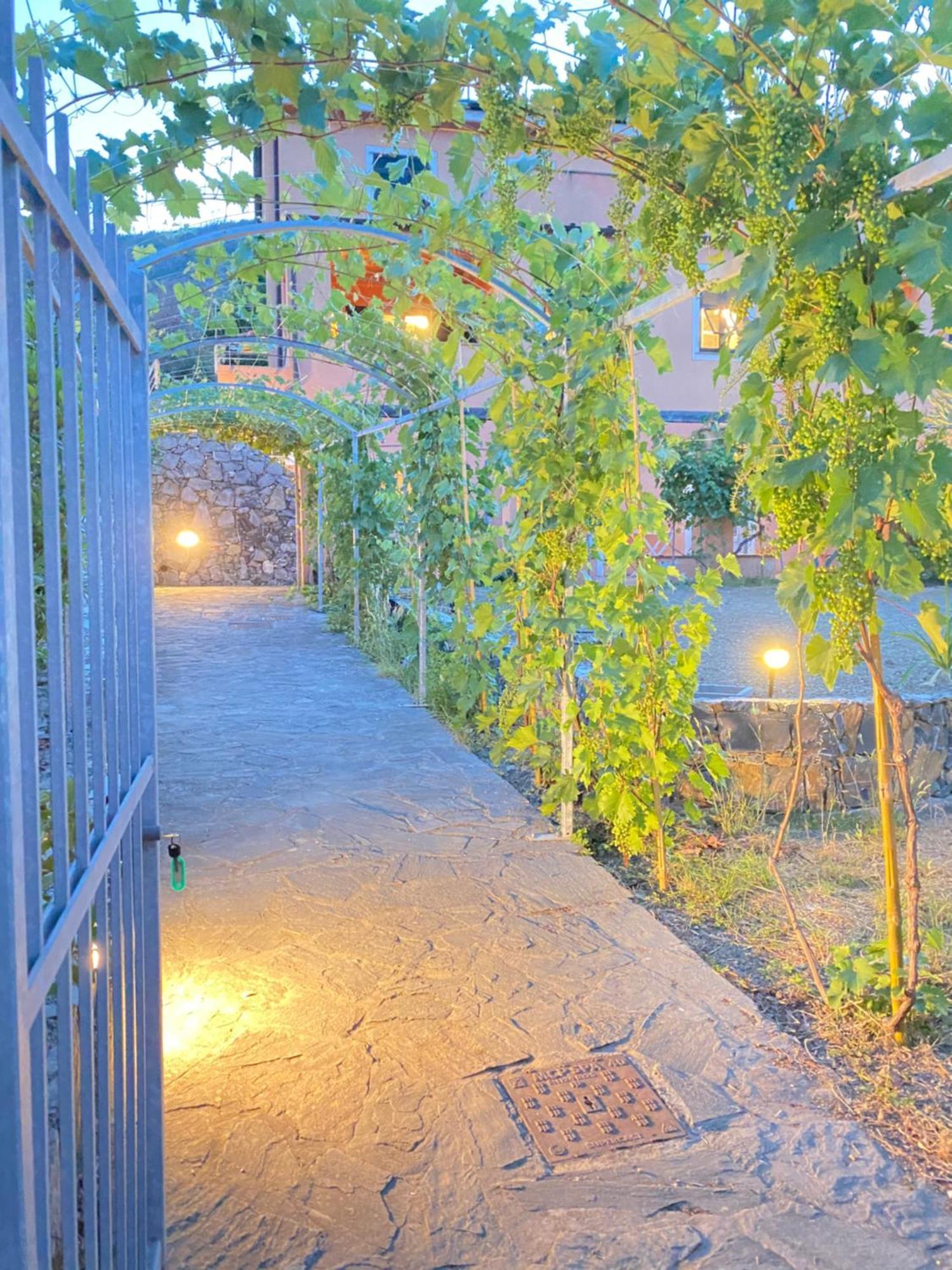 Villa Arancia Quiet, Central, Parking And Air Conditioning Levanto Eksteriør billede